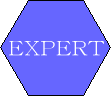 EXPERT